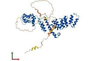 AlphaFold protein structure predicition of Human Recombinant VIPAS39 Protein, UniprotID Q9H9C1