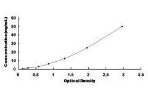 IMP (Inosine 5'-Monophosphate) Dehydrogenase 2 (IMPDH2) ELISA Kit