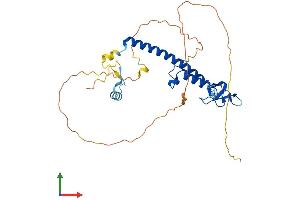 AlphaFold protein structure predicition of Human Recombinant RPH3AL Protein, UniprotID Q9UNE2