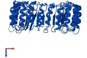 AlphaFold protein structure predicition of Mouse Recombinant Rnh1 Protein, UniprotID Q91VI7