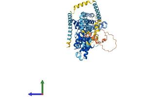 AlphaFold protein structure predicition of Human Recombinant ST7 Protein, UniprotID Q9NRC1