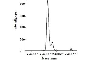 Reconstructed molecular weight from MS spectrum. (HMGB1 Protéine)