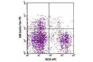 Flow Cytometry (FACS) image for anti-Mast/stem Cell Growth Factor Receptor (KIT) antibody (Biotin) (ABIN2660910) (KIT anticorps  (Biotin))
