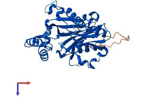 AlphaFold protein structure predicition of Mouse Recombinant Nudt22 Protein, UniprotID Q9DD16