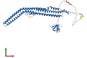 AlphaFold protein structure predicition of Mouse Recombinant Pacsin3 Protein, UniprotID Q99JB8