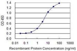 Detection limit for recombinant GST tagged SCYL3 is 0. (SCYL3 anticorps  (AA 553-660))