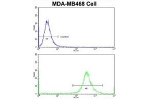 Flow Cytometry (FACS) image for anti-Galactose-1-Phosphate Uridylyltransferase (GALT) antibody (ABIN3002853)