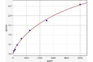 Typical standard curve (EPH Receptor A2 Kit ELISA)