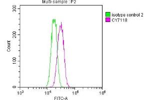 Overlay histogram showing Hela cells stained with ABIN7127811 (red line) at 1:50. (Recombinant SKP2 anticorps)