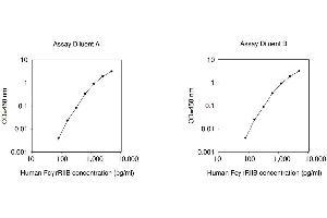 CD32-B/C ELISA Kit