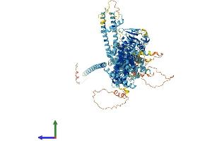 AlphaFold protein structure predicition of Human Recombinant TRPM4 Protein, UniprotID Q8TD43