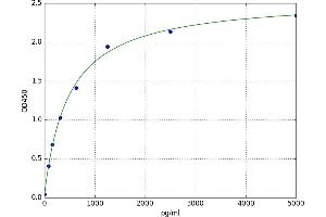 Sphingosine-1-Phosphate Receptor 5 (S1PR5) ELISA Kit
