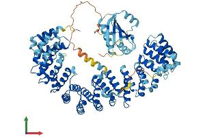 AlphaFold protein structure predicition of Mouse Recombinant Ap4b1 Protein, UniprotID Q9WV76