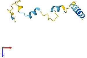 AlphaFold protein structure predicition of Mouse Recombinant Nupr1 Protein, UniprotID Q9WTK0