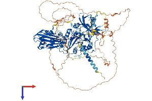 AlphaFold protein structure predicition of Mouse Recombinant B4galnt4 Protein, UniprotID Q766D5
