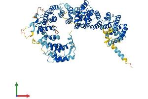 AlphaFold protein structure predicition of Human Recombinant AP5Z1 Protein, UniprotID O43299