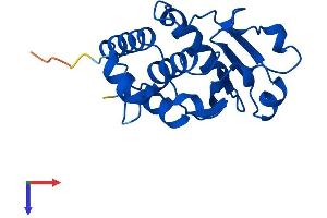 AlphaFold protein structure predicition of Mouse Recombinant Dusp3 Protein, UniprotID Q9D7X3