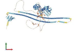 AlphaFold protein structure predicition of Mouse Recombinant Card11 Protein, UniprotID Q8CIS0