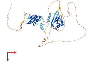 AlphaFold protein structure predicition of Mouse Recombinant Kctd8 Protein, UniprotID Q50H33