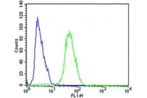 Flow cytometric analysis of SH-SY5Y cells using CDK5 antibody (green) compared to an isotype control of rabbit IgG (blue)
