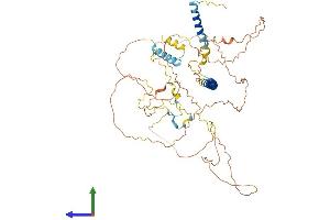 AlphaFold protein structure predicition of Human Recombinant SGO1 Protein, UniprotID Q5FBB7