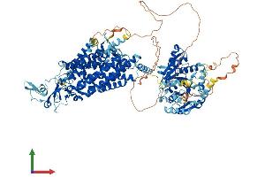 AlphaFold protein structure predicition of Mouse Recombinant Slc12a6 Protein, UniprotID Q924N4