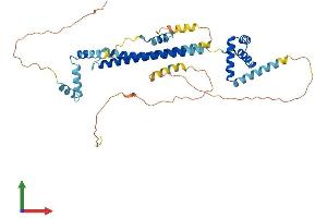 AlphaFold protein structure predicition of Human Recombinant PBX1 Protein, UniprotID P40424