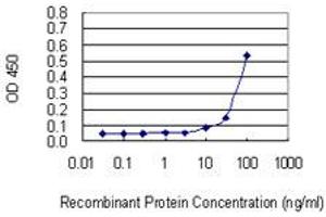 Detection limit for recombinant GST tagged SASH1 is 3 ng/ml as a capture antibody.