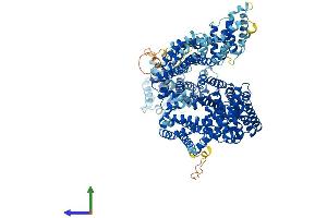 AlphaFold protein structure predicition of Human Recombinant NCAPG2 Protein, UniprotID Q86XI2