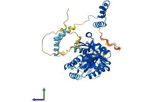 AlphaFold protein structure predicition of Mouse Recombinant Mpp2 Protein, UniprotID Q9WV34