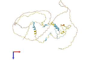 AlphaFold protein structure predicition of Mouse Recombinant Rcsd1 Protein, UniprotID Q3UZA1