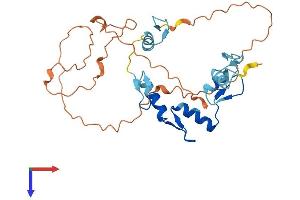 AlphaFold protein structure predicition of Human Recombinant SNAI3 Protein, UniprotID Q3KNW1