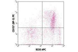 Flow Cytometry (FACS) image for anti-Bone Marrow Stromal Cell Antigen 1 (BST1) antibody (PE) (ABIN2662462) (BST1 anticorps  (PE))