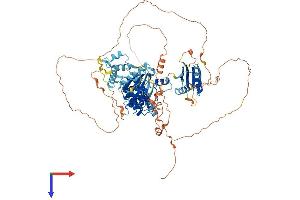 AlphaFold protein structure predicition of Mouse Recombinant Brsk1 Protein, UniprotID Q5RJI5