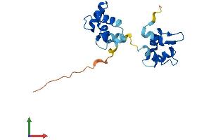 AlphaFold protein structure predicition of Mouse Recombinant Myl12b Protein, UniprotID Q3THE2