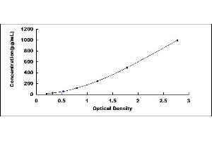 Typical standard curve (FGF15 Kit ELISA)