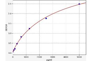Typical standard curve (CDK16 Kit ELISA)