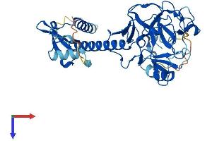 AlphaFold protein structure predicition of Human Recombinant SUV39H2 Protein, UniprotID Q9H5I1