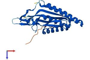 AlphaFold protein structure predicition of Human Recombinant ATG101 Protein, UniprotID Q9BSB4