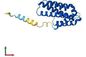 AlphaFold protein structure predicition of Mouse Recombinant Tnfaip8l2 Protein, UniprotID Q9D8Y7