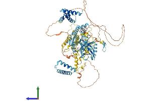 AlphaFold protein structure predicition of Mouse Recombinant Mtbp Protein, UniprotID Q8BJS8