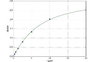 A typical standard curve (SULT1E1 Kit ELISA)