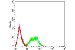 Flow cytometric analysis of HL-60 cells using CD336 mouse mAb (green) and negative control (red).