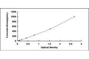 Typical standard curve (Cathepsin K Kit ELISA)