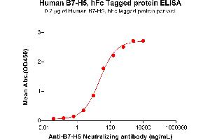 ELISA plate pre-coated by 2 μg/mL (100 μL/well) Human B7-H5 Protein, hFc Tag (ABIN6964353, ABIN7042799 and ABIN7042800) can bind Anti-B7-H5 Neutralizing antibody ABIN7478007 and ABIN7490950 in a linear range of 2.