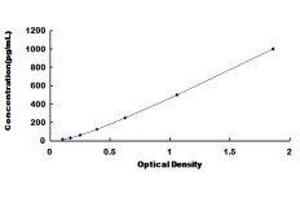 Annexin A10 (ANXA10) ELISA Kit