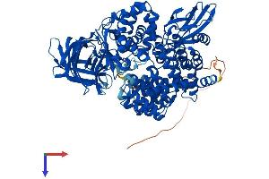 AlphaFold protein structure predicition of Mouse Recombinant Npepps Protein, UniprotID Q11011