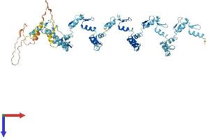 AlphaFold protein structure predicition of Human Recombinant ZNF595 Protein, UniprotID Q8IYB9