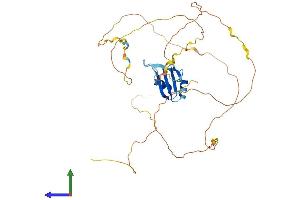 AlphaFold protein structure predicition of Mouse Recombinant Rbmx Protein, UniprotID Q9WV02