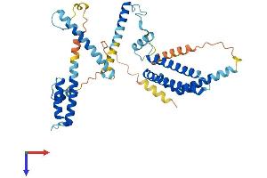 AlphaFold protein structure predicition of Human Recombinant DNAJC28 Protein, UniprotID Q9NX36